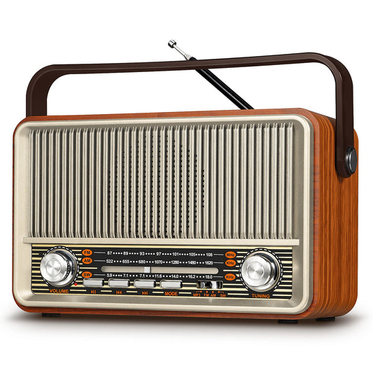 PRUNUS J-120 Portable AM FM Radio Bluetooth Speaker For Home And Outdoors
